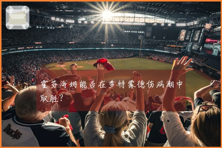 霍芬海姆能否在多特蒙德伤病潮中取胜？