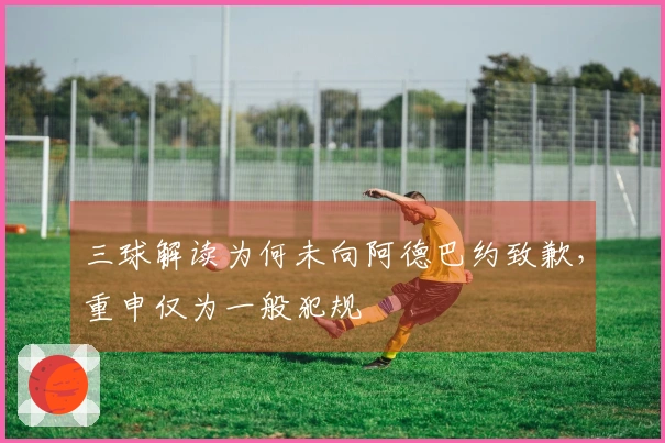 三球解读为何未向阿德巴约致歉，重申仅为一般犯规