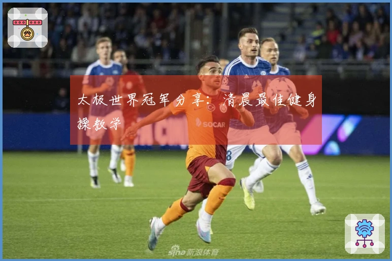 太极世界冠军分享：清晨最佳健身操教学