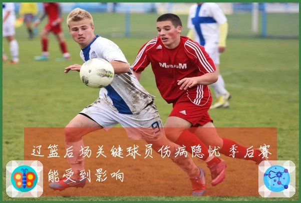 辽篮后场关键球员伤病隐忧 季后赛可能受到影响